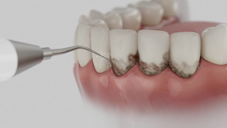 Reliable Dental contractor in Holly Springs, NC by Dentist Open Now
